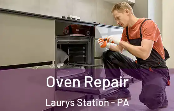  Oven Repair Laurys Station - PA