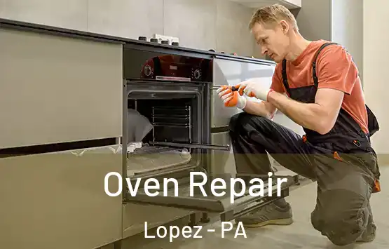  Oven Repair Lopez - PA