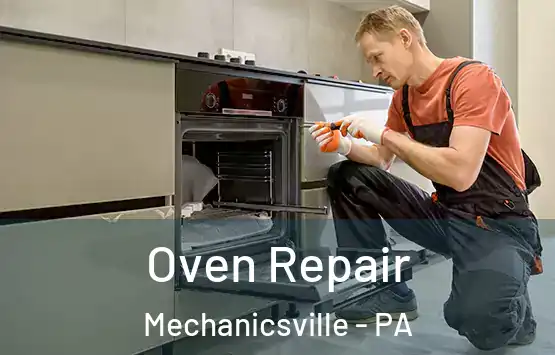  Oven Repair Mechanicsville - PA