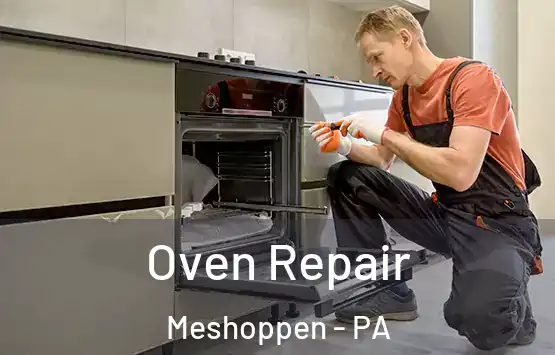  Oven Repair Meshoppen - PA