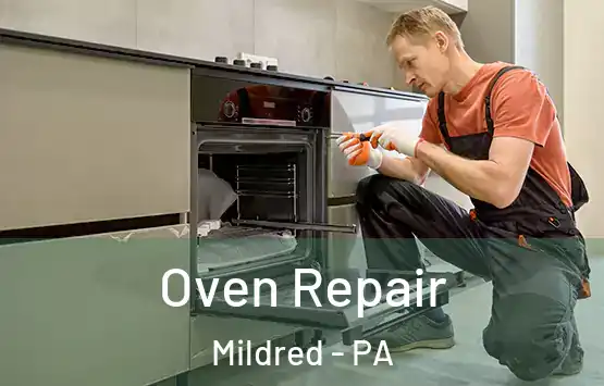  Oven Repair Mildred - PA