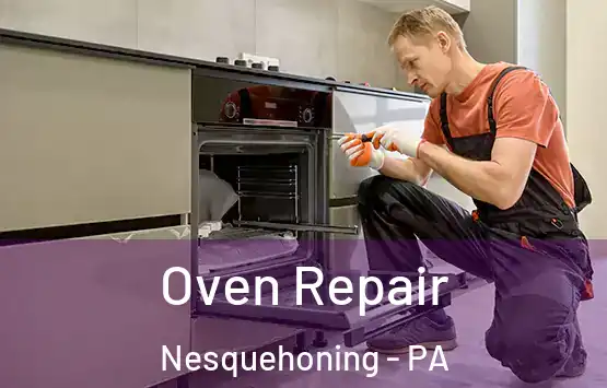  Oven Repair Nesquehoning - PA