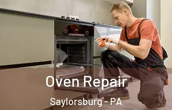  Oven Repair Saylorsburg - PA