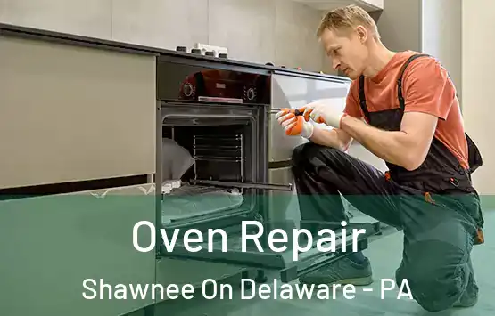 Oven Repair Shawnee On Delaware - PA