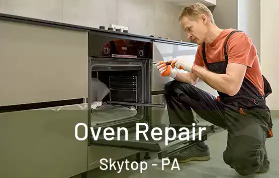  Oven Repair Skytop - PA