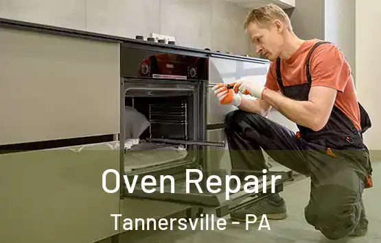  Oven Repair Tannersville - PA
