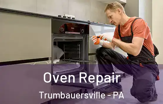  Oven Repair Trumbauersville - PA