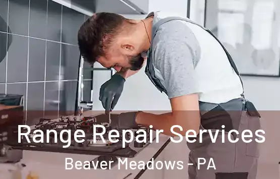  Range Repair Services Beaver Meadows - PA