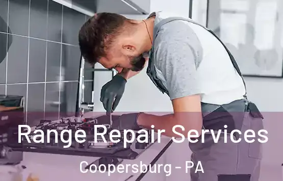  Range Repair Services Coopersburg - PA