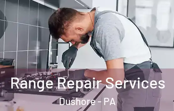  Range Repair Services Dushore - PA