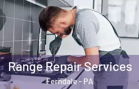  Range Repair Services Ferndale - PA