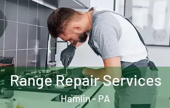  Range Repair Services Hamlin - PA