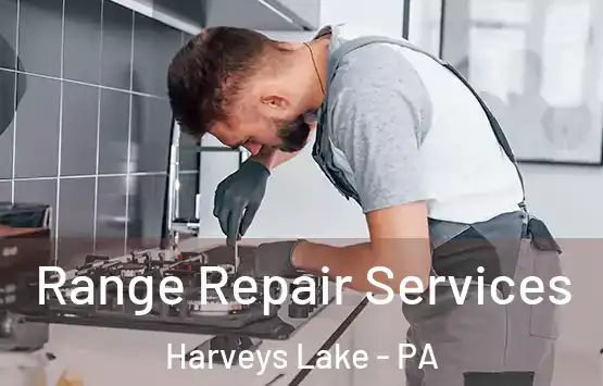  Range Repair Services Harveys Lake - PA