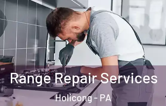  Range Repair Services Holicong - PA