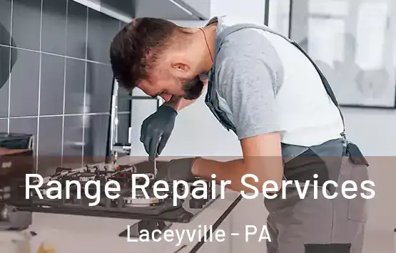  Range Repair Services Laceyville - PA
