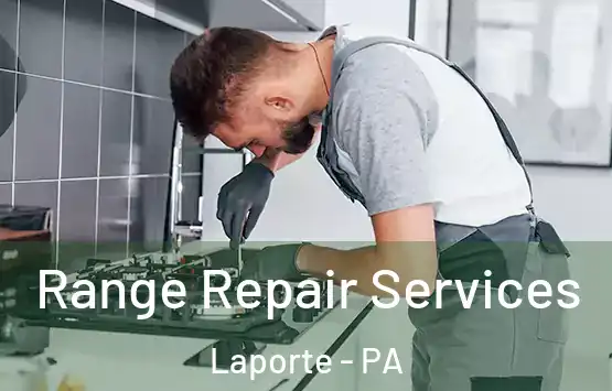  Range Repair Services Laporte - PA