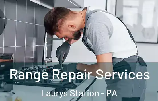 Range Repair Services Laurys Station - PA