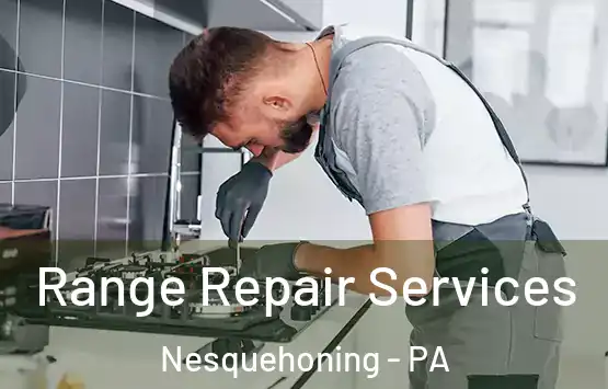  Range Repair Services Nesquehoning - PA