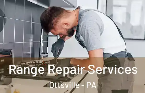  Range Repair Services Ottsville - PA