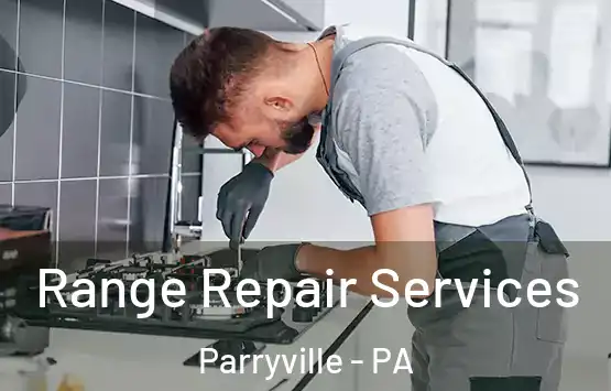  Range Repair Services Parryville - PA