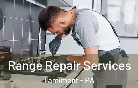  Range Repair Services Tamiment - PA