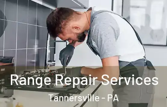  Range Repair Services Tannersville - PA