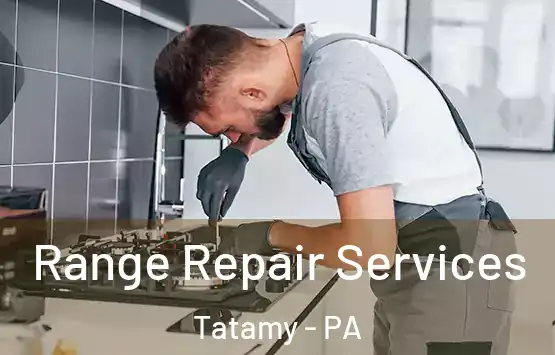  Range Repair Services Tatamy - PA
