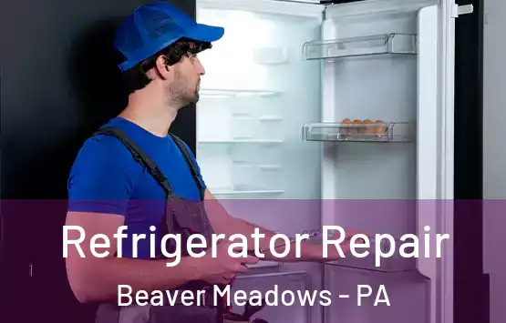  Refrigerator Repair Beaver Meadows - PA