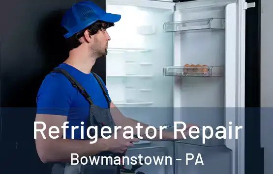 Refrigerator Repair Bowmanstown - PA