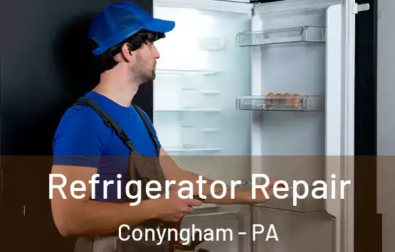  Refrigerator Repair Conyngham - PA