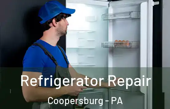  Refrigerator Repair Coopersburg - PA