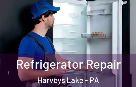  Refrigerator Repair Harveys Lake - PA