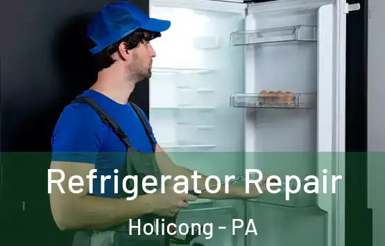  Refrigerator Repair Holicong - PA