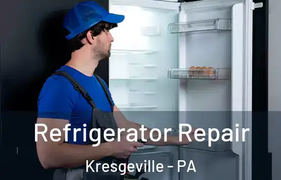  Refrigerator Repair Kresgeville - PA