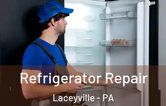  Refrigerator Repair Laceyville - PA