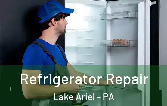  Refrigerator Repair Lake Ariel - PA