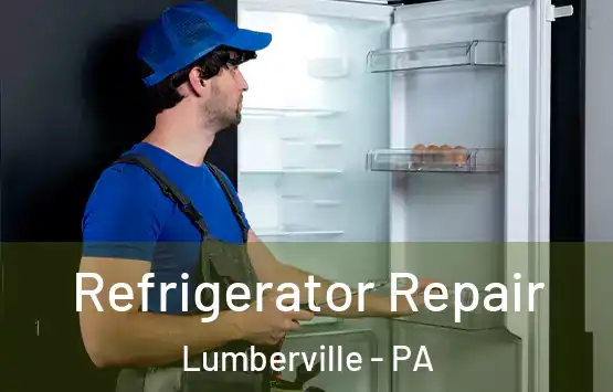  Refrigerator Repair Lumberville - PA
