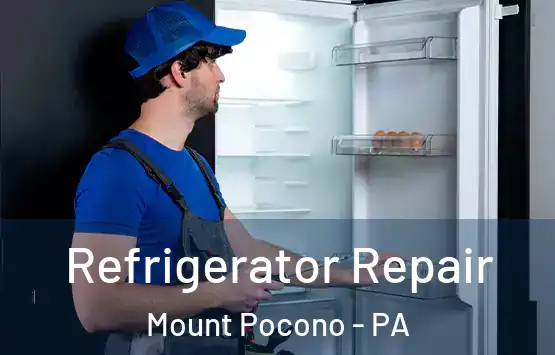  Refrigerator Repair Mount Pocono - PA