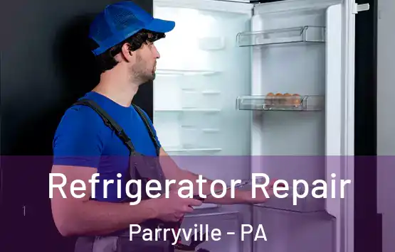  Refrigerator Repair Parryville - PA