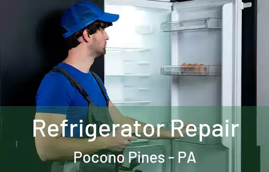  Refrigerator Repair Pocono Pines - PA
