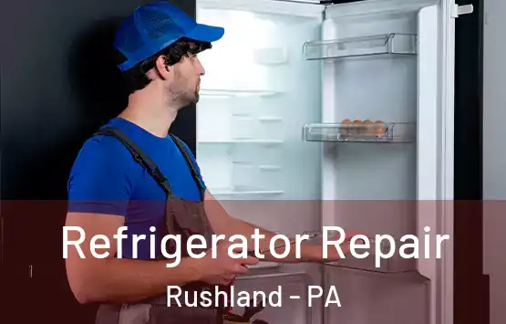  Refrigerator Repair Rushland - PA