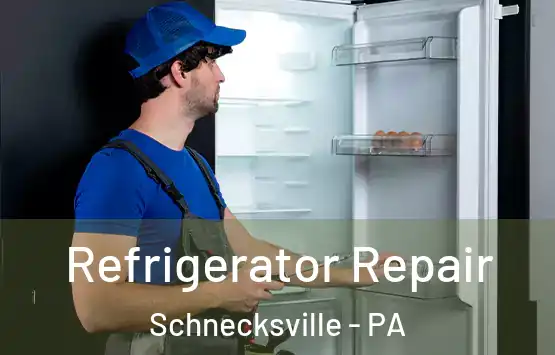  Refrigerator Repair Schnecksville - PA