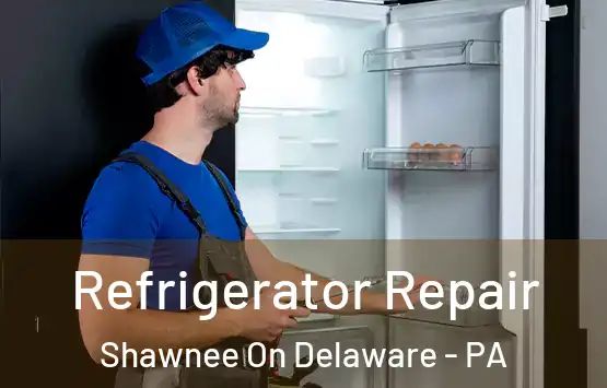  Refrigerator Repair Shawnee On Delaware - PA