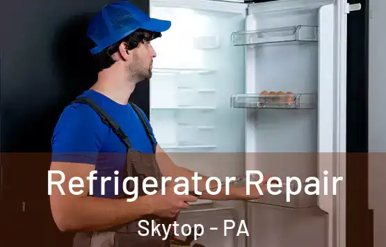  Refrigerator Repair Skytop - PA
