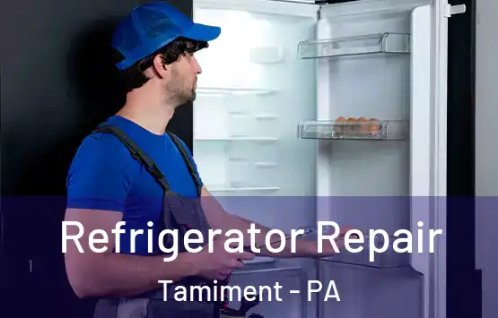  Refrigerator Repair Tamiment - PA