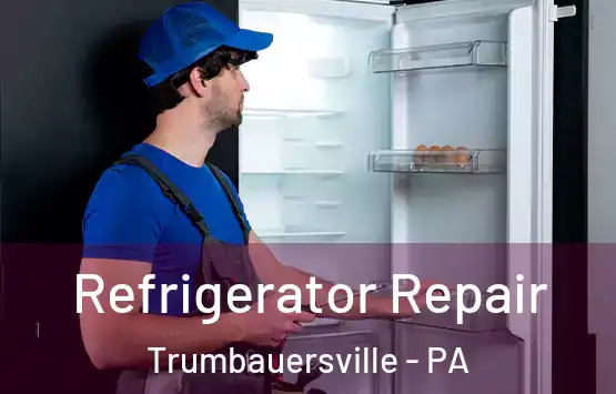  Refrigerator Repair Trumbauersville - PA