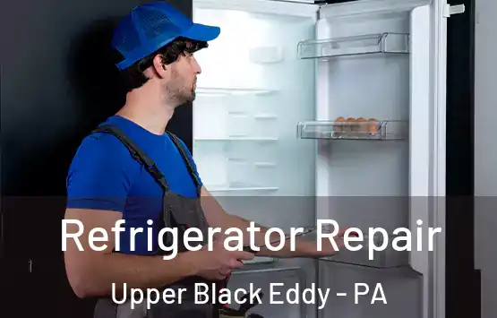  Refrigerator Repair Upper Black Eddy - PA