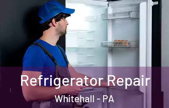  Refrigerator Repair Whitehall - PA