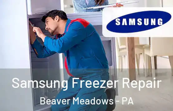  Samsung Freezer Repair Beaver Meadows - PA