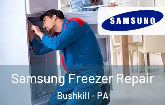  Samsung Freezer Repair Bushkill - PA